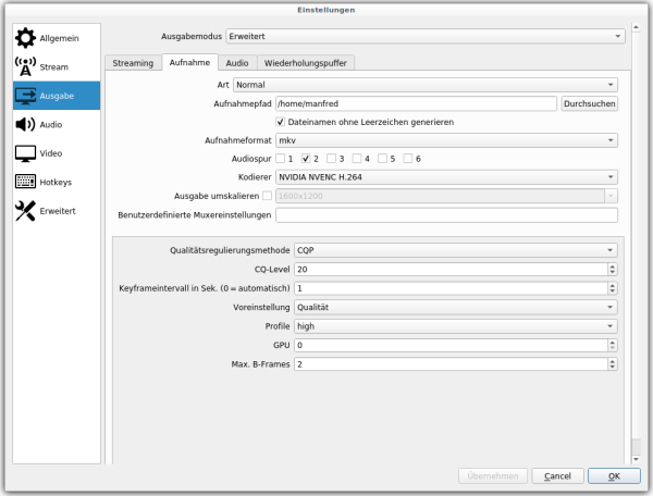 meine OBS-Aufnahme-Einstellungen